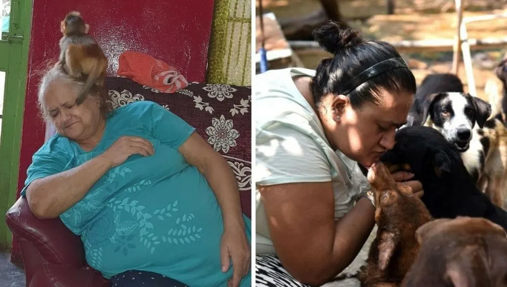Animal Shelter Home In Jammu