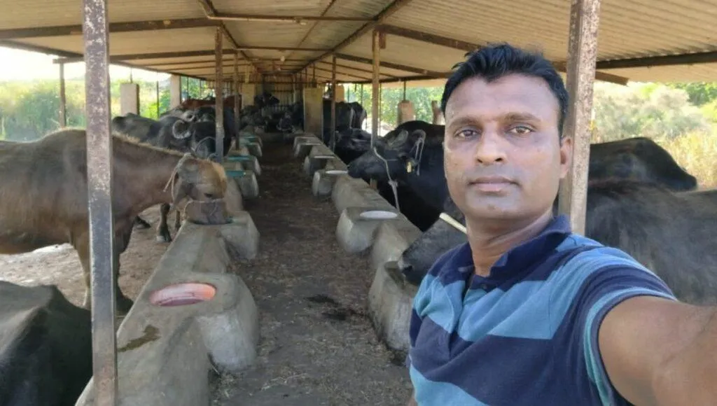 Milk Business Ideas