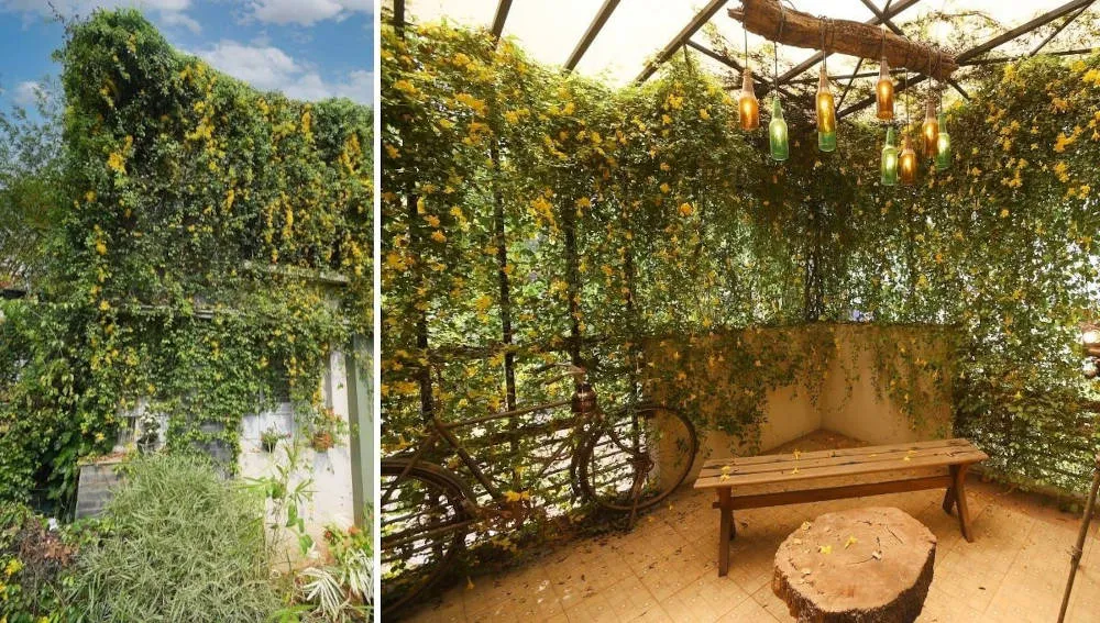 Green Home Decor