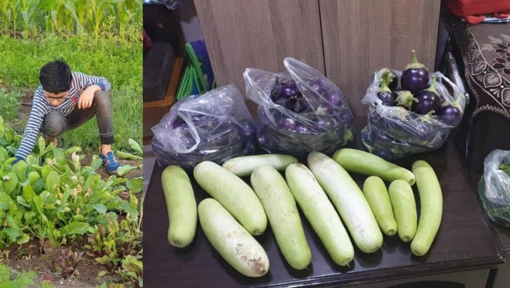 Scientific Organic Farming