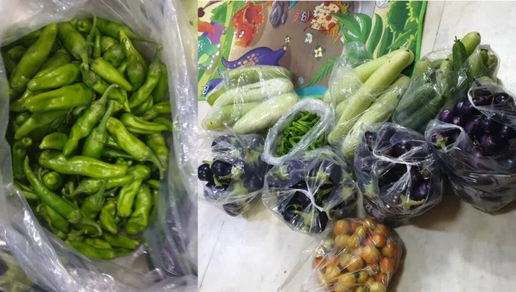 Scientific Organic Farming