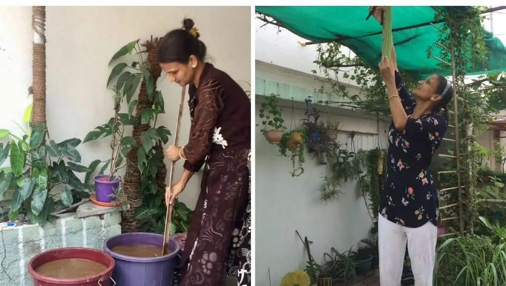 Home Gardening