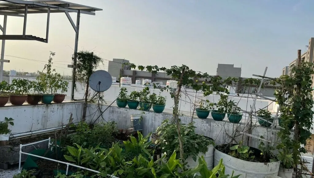 Home Gardening