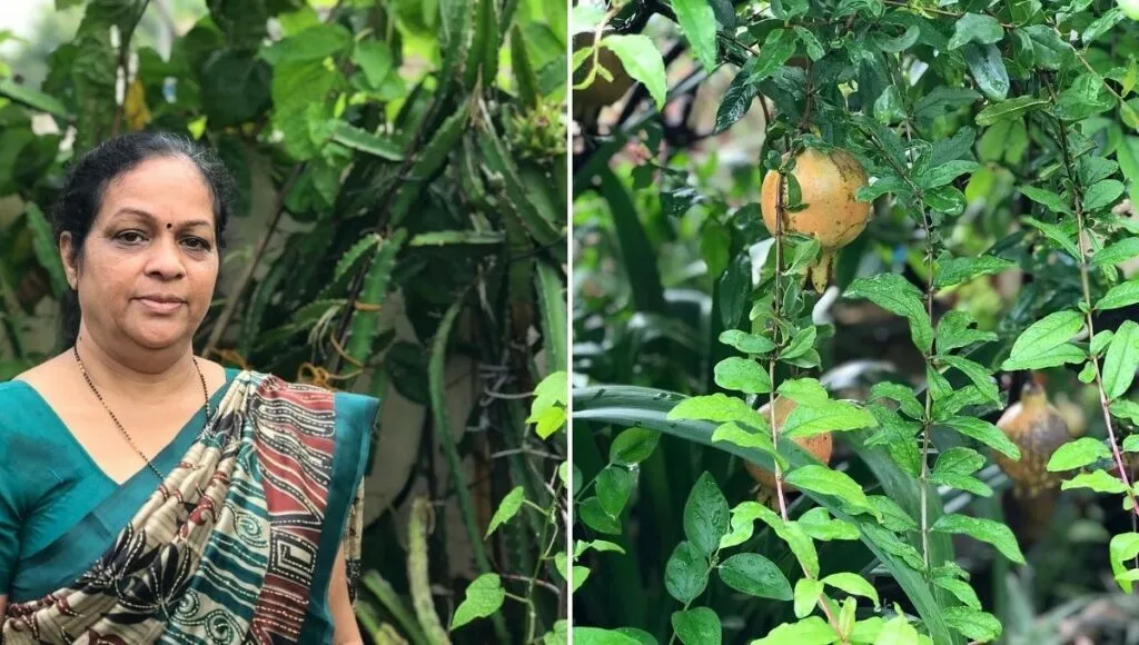 Terrace Gardening