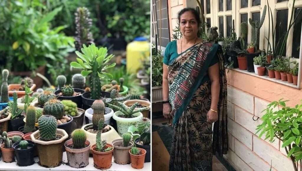 Terrace Gardening