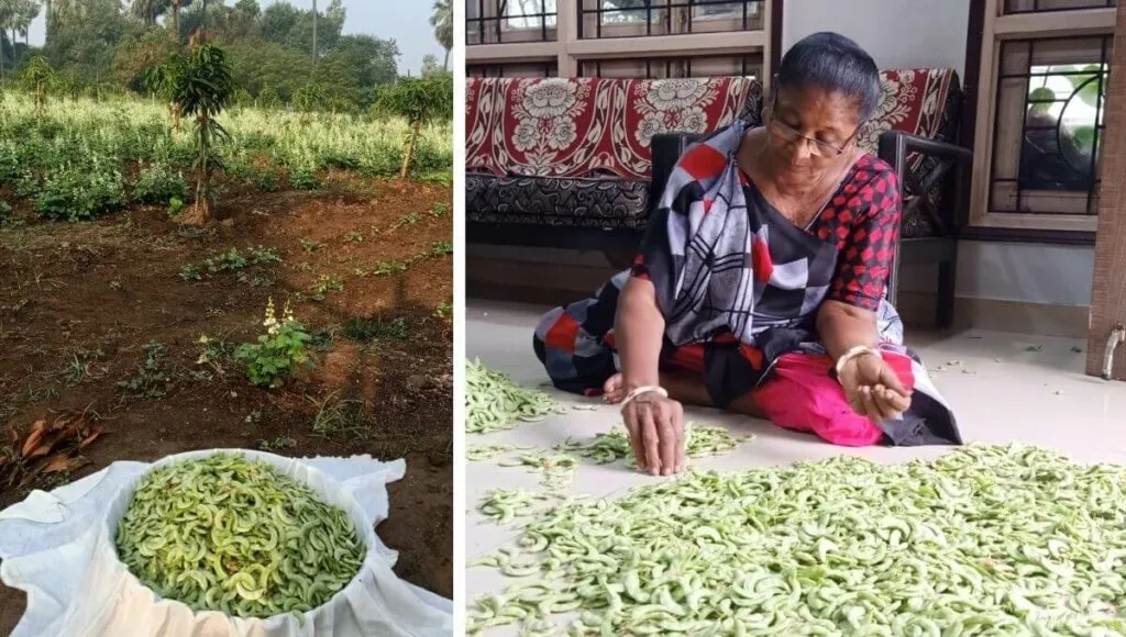 Woman Farmer