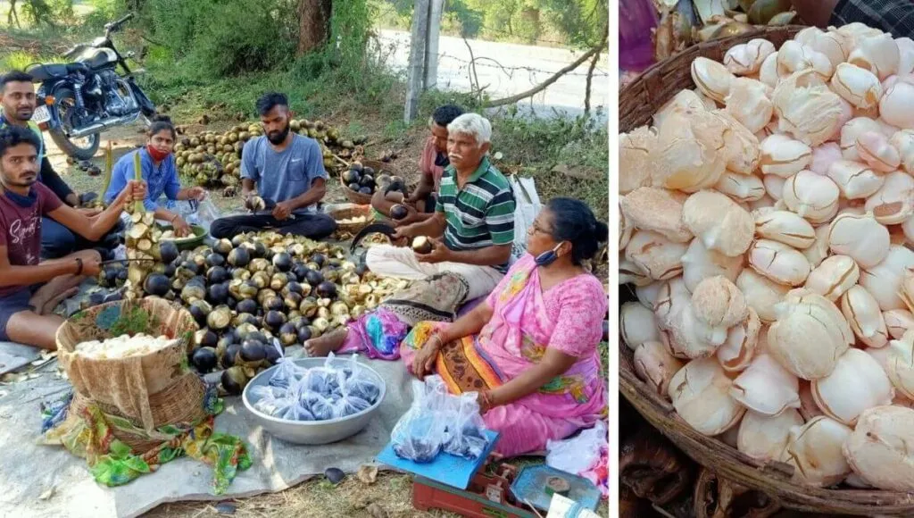High Income Farming