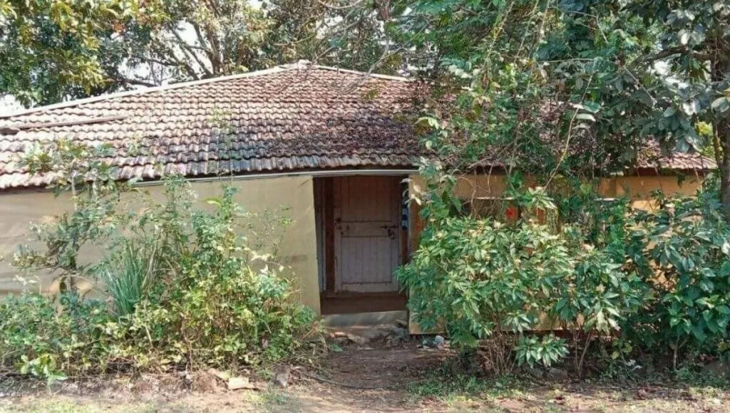 eco friendly house