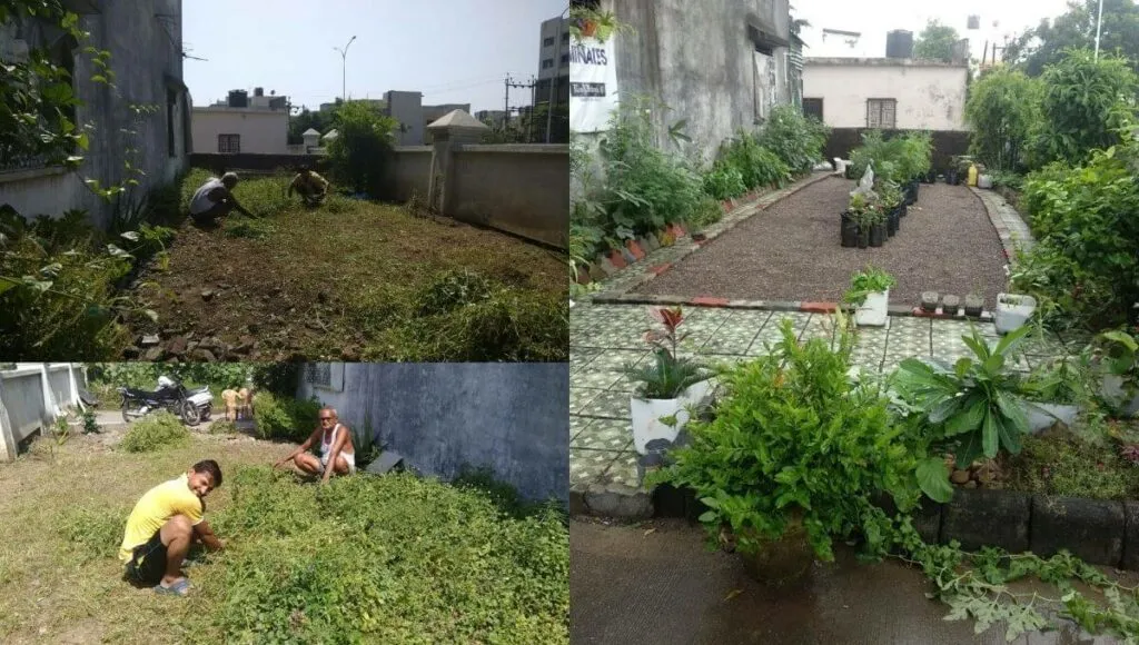 Clean The Land For Gardening