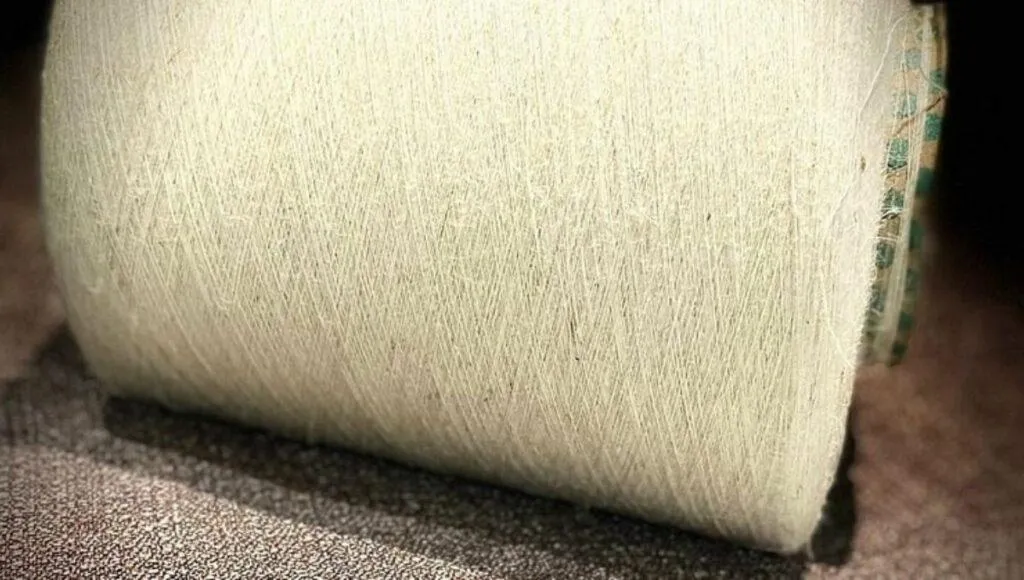  Eco Friendly Fibers For Clothing