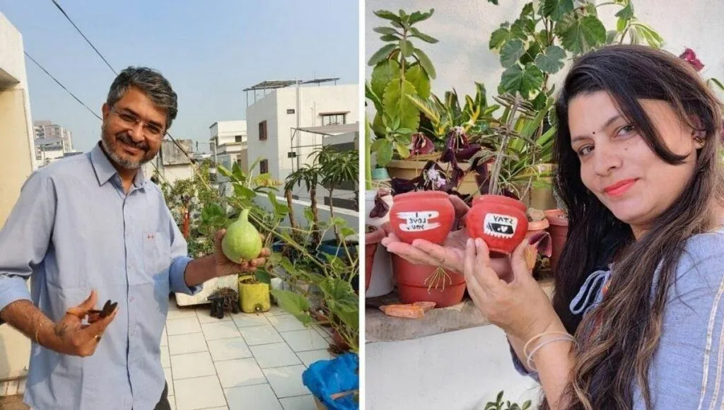 surat gardening