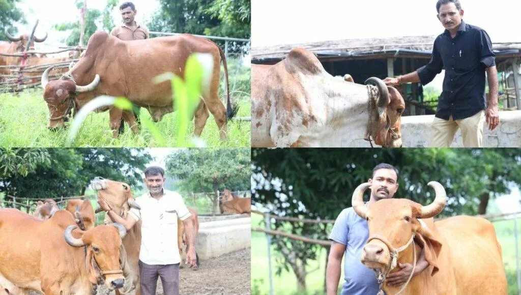 Maganbhai and his brothers