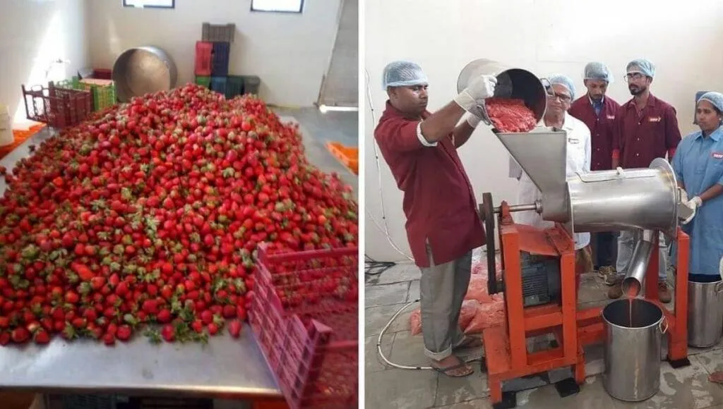Farming Startup