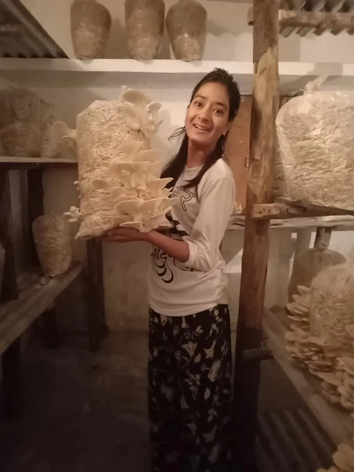 mushroom farming