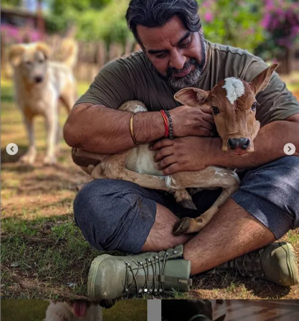 Mumbai Dog Shelter