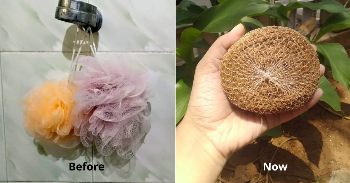 Sustainable DIY Tips