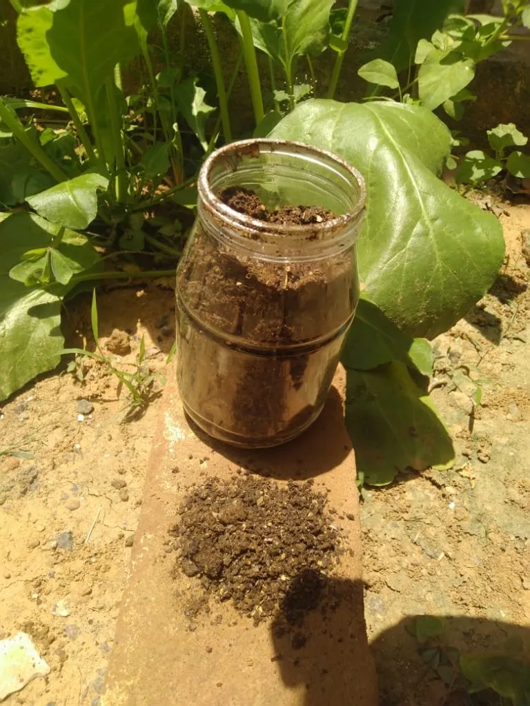 Sustainable DIY Tips
