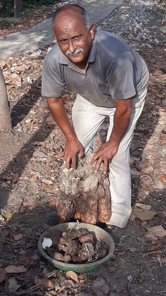 Retired Army Man From Indore Turns Farmer, Earns Lakhs 