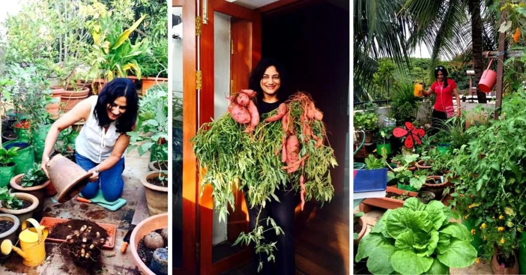 Organic Gardening Tips
