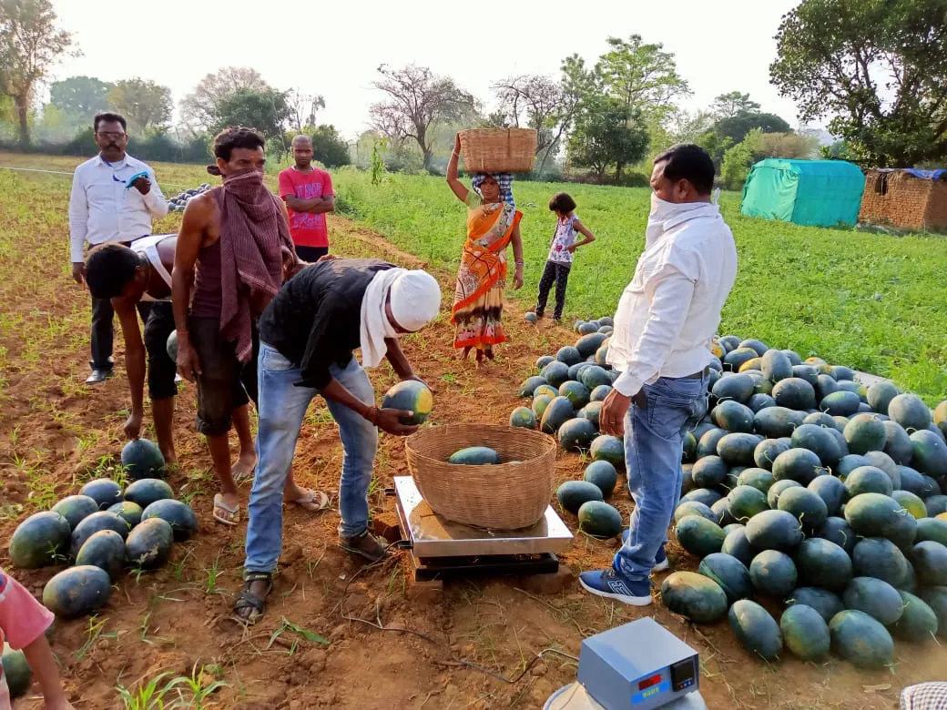 jharkhand johar scheme trating all farmers with good payback