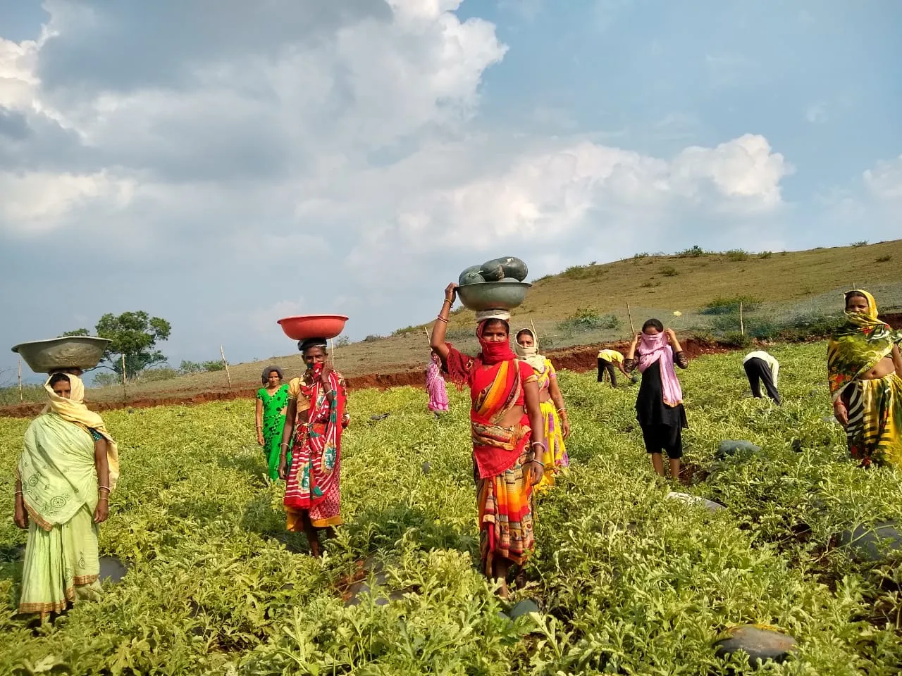 jharkhand Johar scheme helping farmers