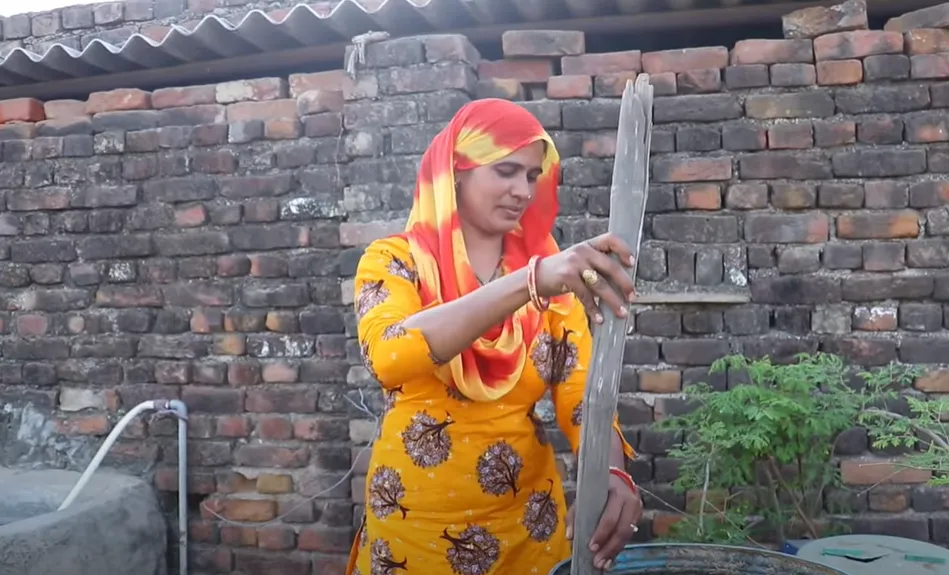 Haryana Woman Organic Farmer