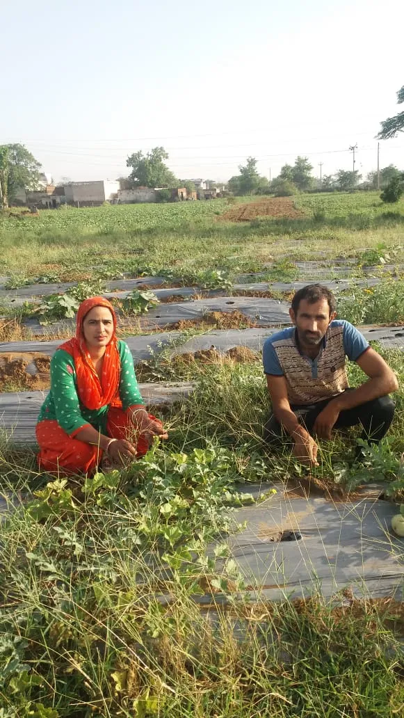 Haryana Woman Organic Farmer