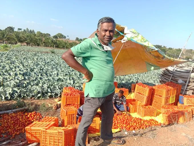 viral tweet by farmer