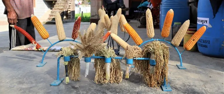 Retired Army Man Farmer Innovation