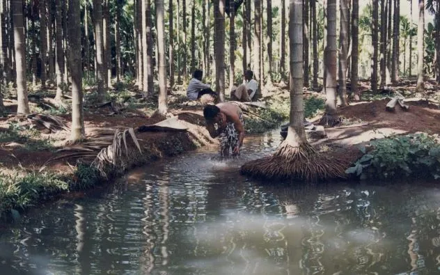 Kerala farmer self sustaining 