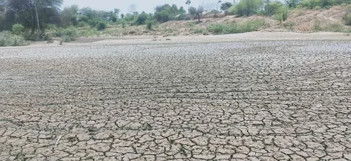 Gujrat Villagers filled pond animal