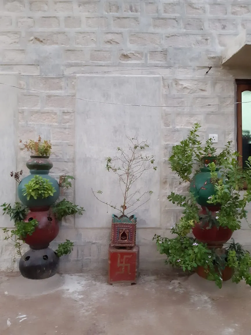 Grow Vegetables in Pot