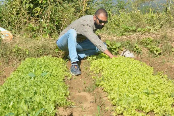 IT Guy farmer