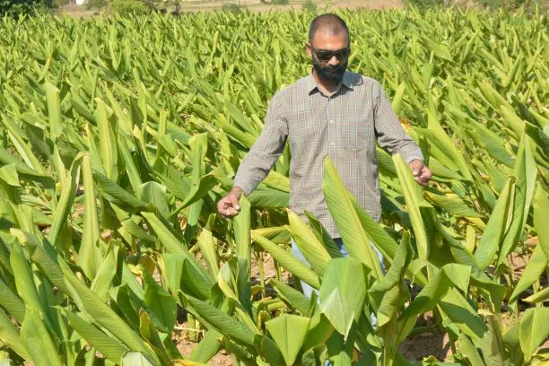 IT Guy farmer