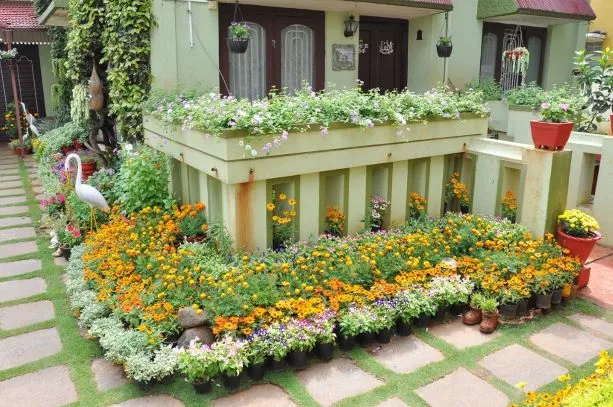 Mysuru woman vertical garden