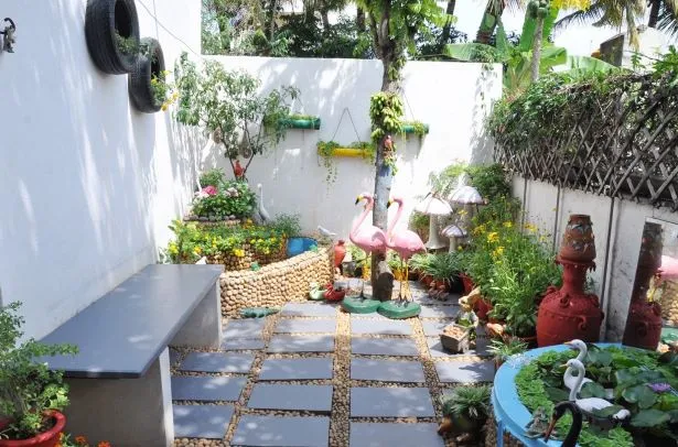 Mysuru woman vertical garden