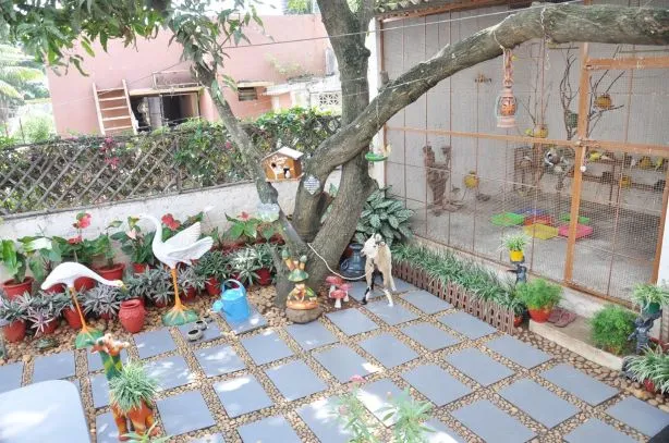 Mysuru woman vertical garden