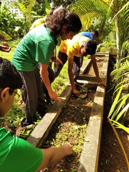 kerla teacher online farming class