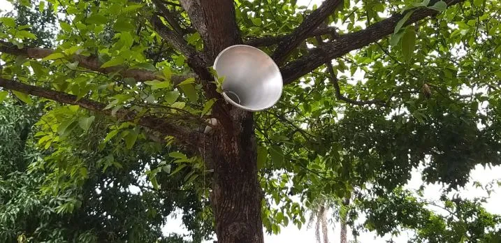 90 फीसदी आदिवासी परिवार वाले बनकाठी गाँव में 246 बच्चों में से सिर्फ 46 परिवार के पास ही स्मार्ट फोन थे।