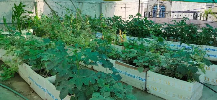 Gardengiri Rajasthan Ajay Sharma