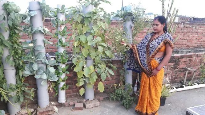 Bihar Woman