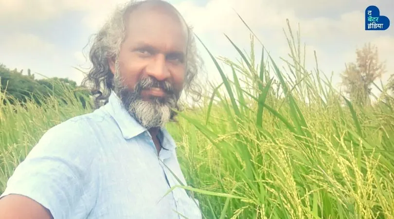 Organic Farmer growing Paddy