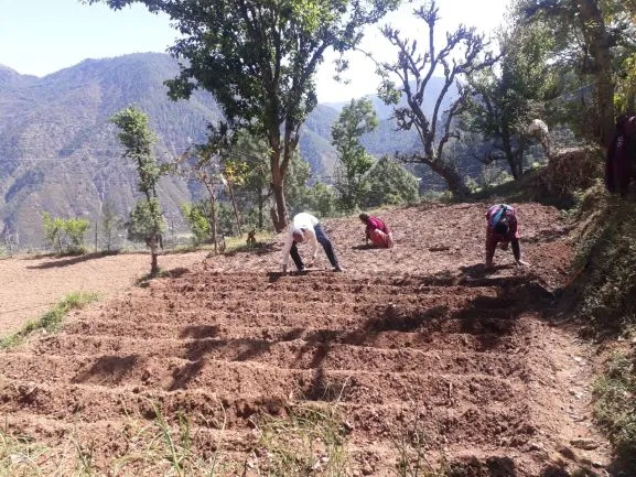 uttarakhand guy