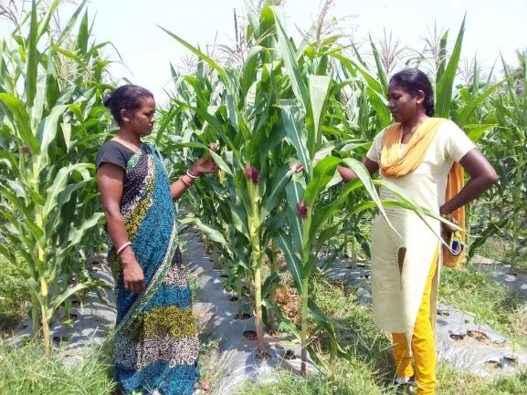 farmer couple from jharkhand