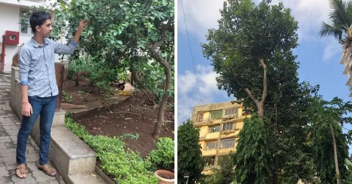 Mumbai society