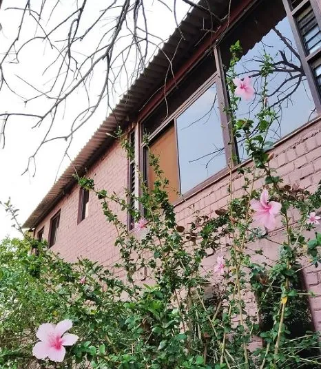 eco friendly home 