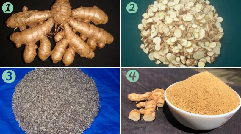 Kasthuri Turmeric Processing