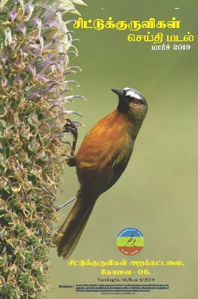 Sparrow Conservation