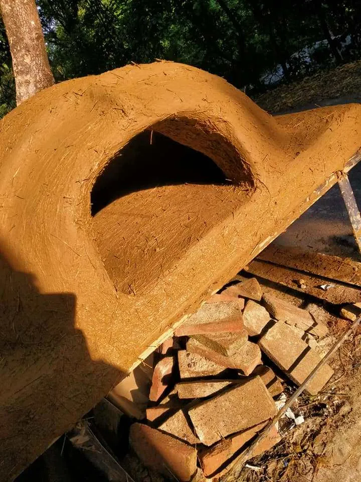 publive-image