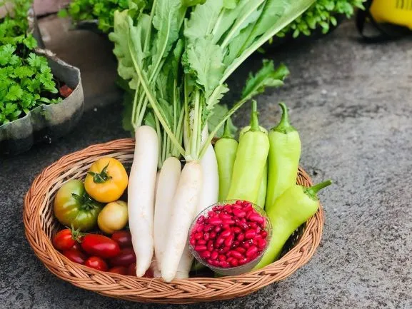 Woman Organic Farmer